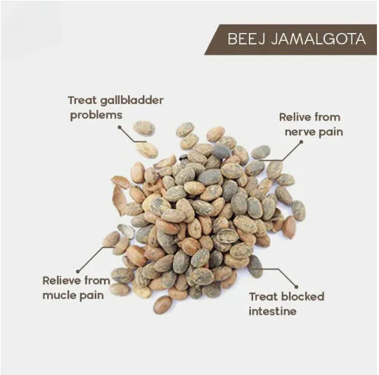 šæ Jamalgota Ayurvedic Hair Growth Powder Buy 1 Get 1 Freešæ